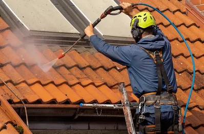 Démoussage et hydrofuge de toiture à Routes